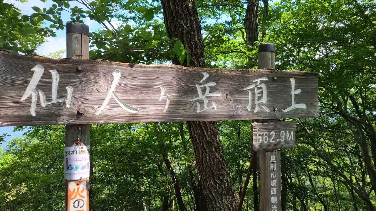 仙人ヶ岳の写真