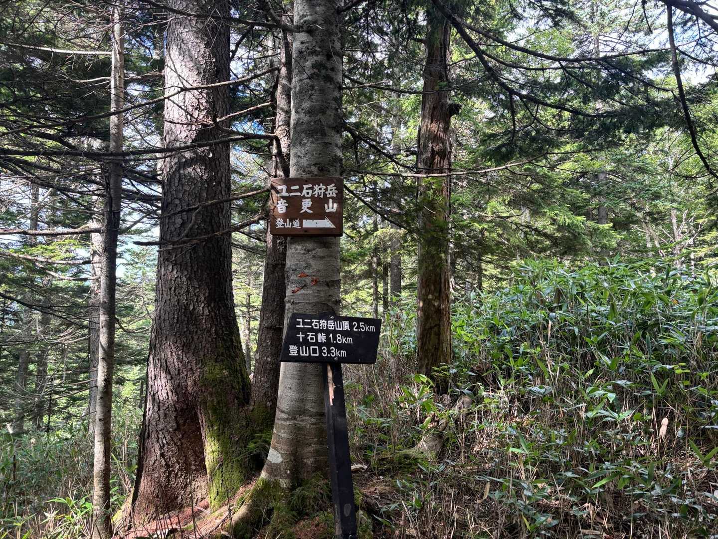 この手の看板少なめの山