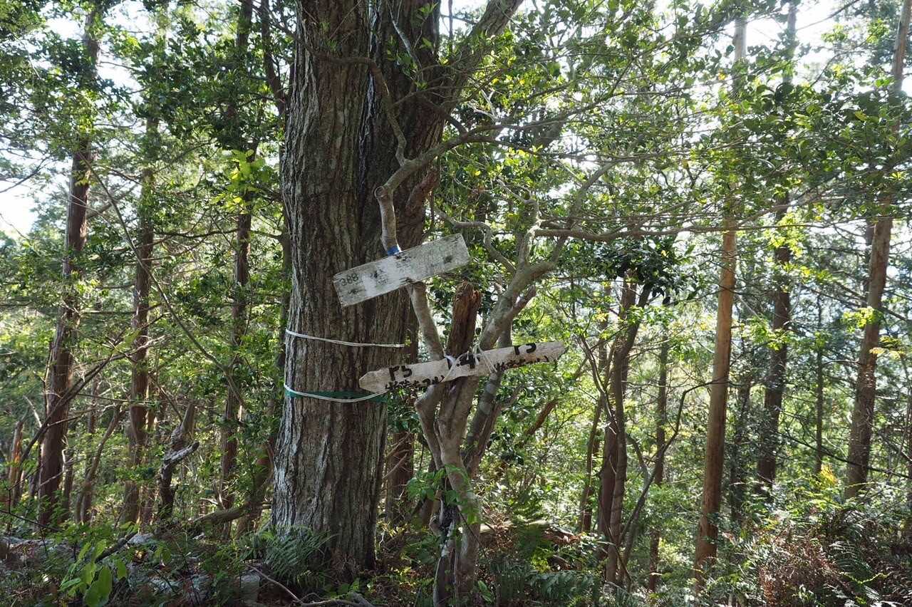 糠塚山の写真
