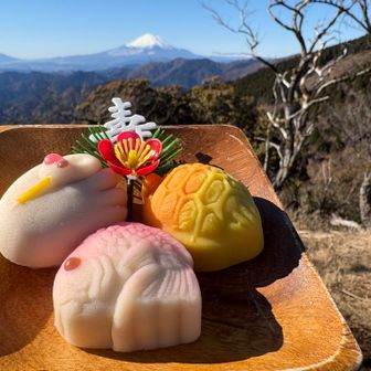 スィーツはお正月らしく。。。
おめでたいデザインの和生菓子🎍