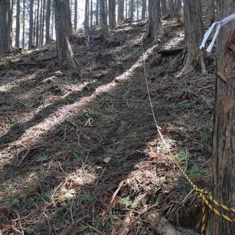 経ヶ塚山への急登ロープ箇所
先日の雨でズルズル滑ります😅