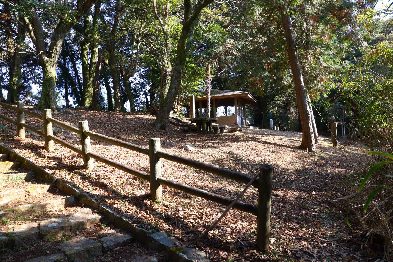 大岳山頂に到着