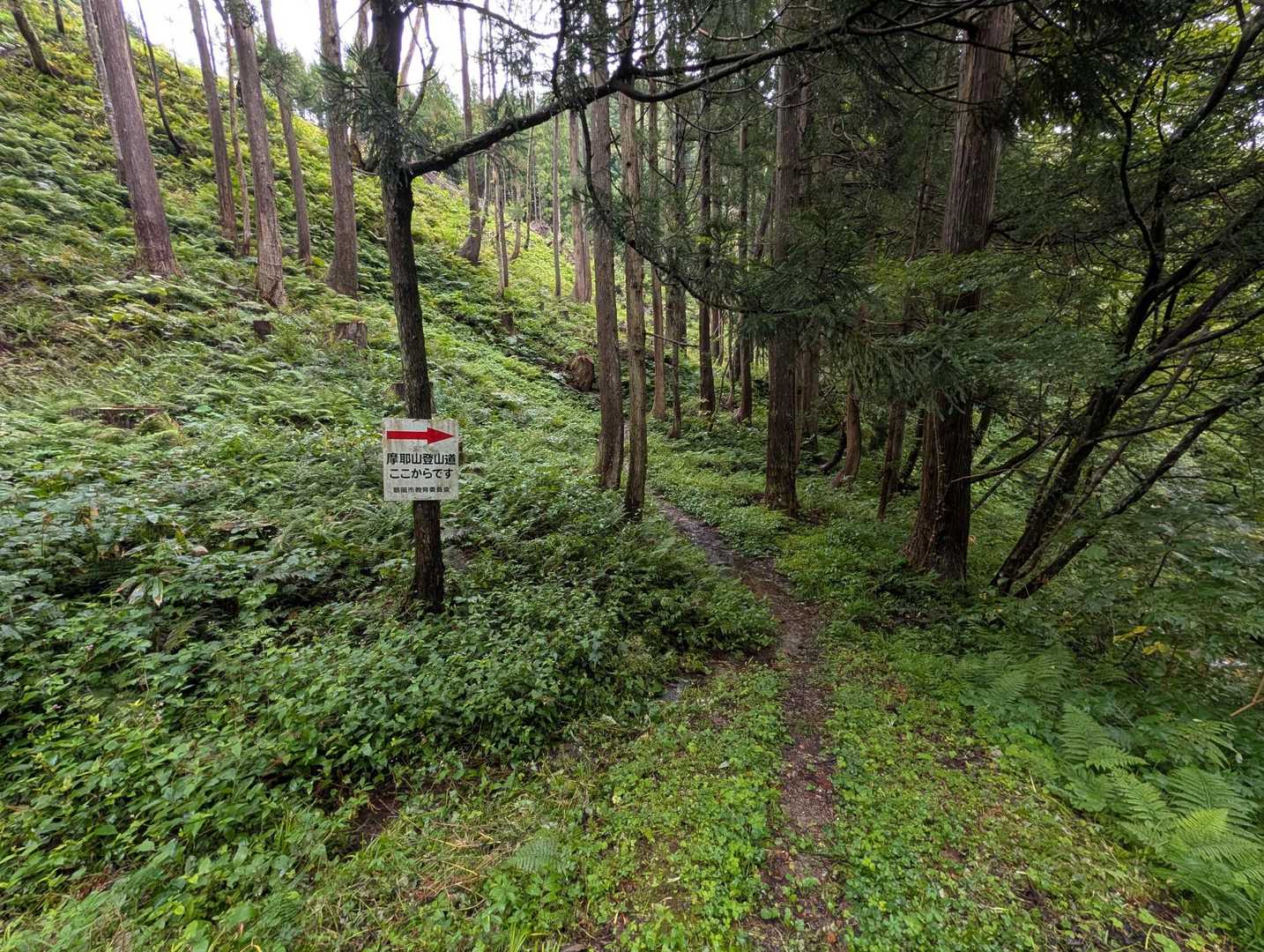 山イン。
着替えていたら雨が止みました。