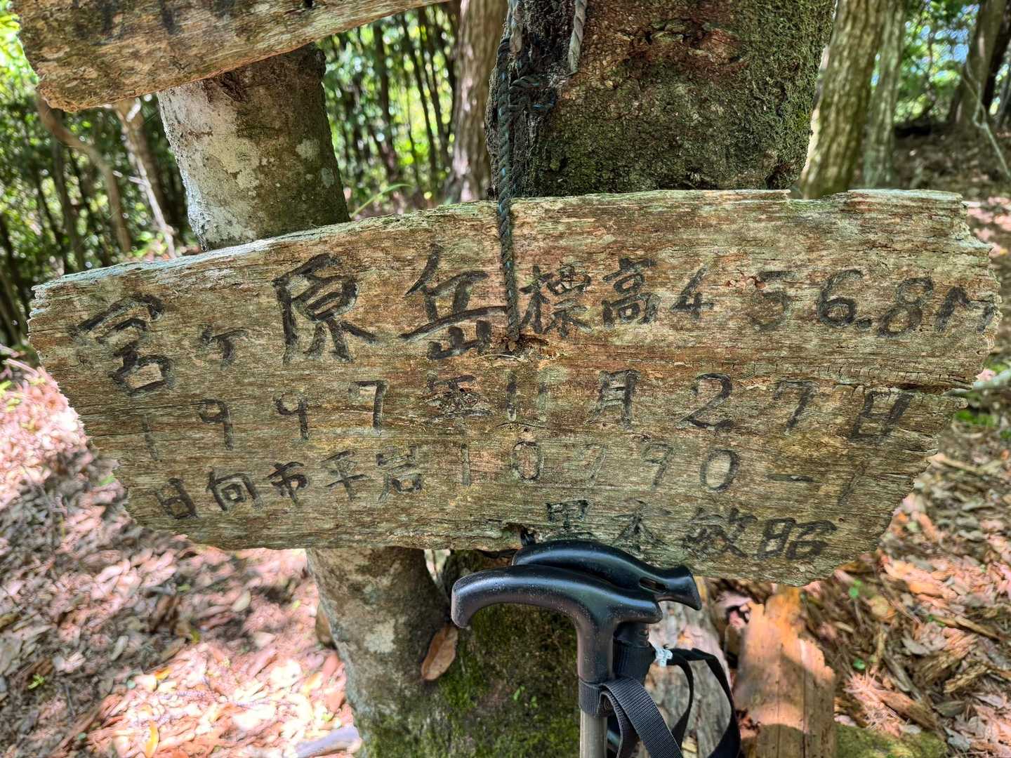 冠岳登山口-宮ヶ原岳 周回コースの写真