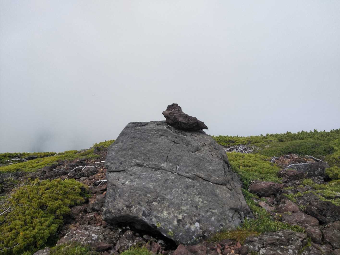 雷鳥は見つけられませんでした。
この岩を雷鳥だと思います。それっぽい形してますし…