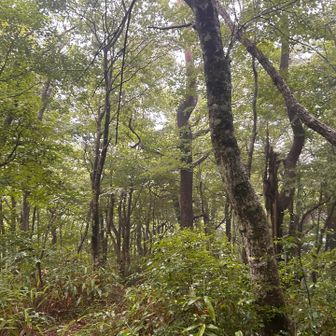 下山します🫡
