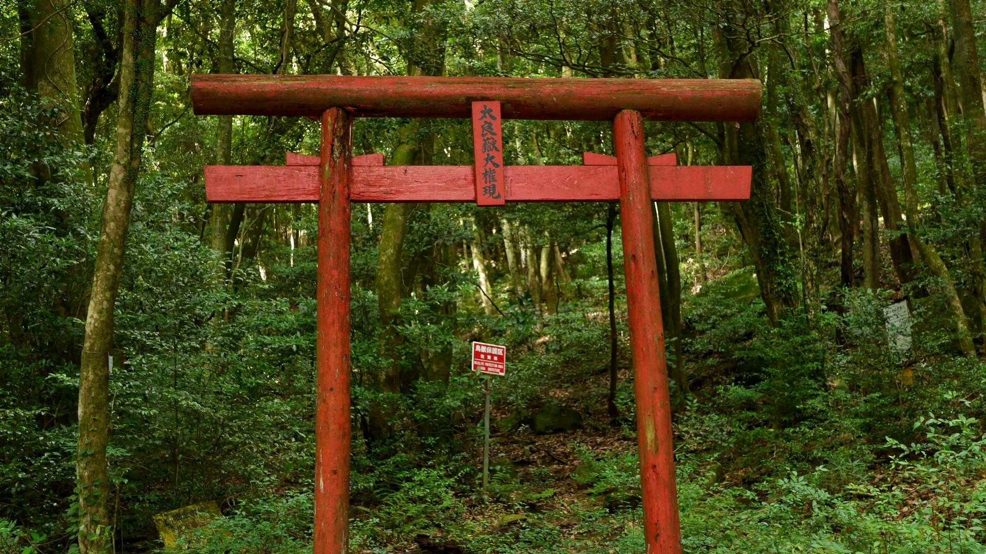 はじめましての中山キャンプ場からスターティン✨
