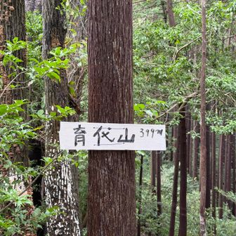 ラストピーク、育代山