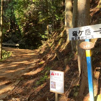 昼を回って下山。
もう午後の陽射しです。