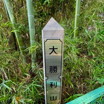 大勝利山…42m（初）

なるほど、京急線で横須賀中央駅に到着する直前のトンネルの上はグレーピークだったんだー

しかも名前が大勝利？何に？誰が？