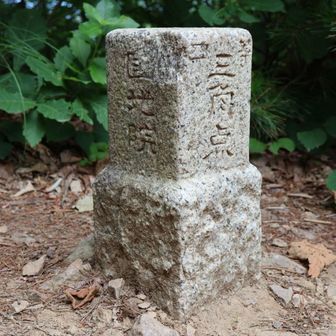 これが三角点か。