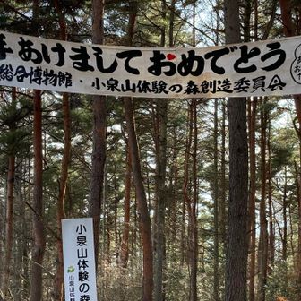 まだ飾ってありました