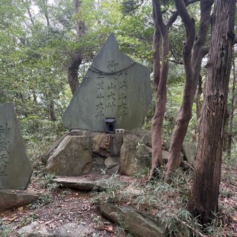 これを見たら何だか満足してました💦ベンチとかあればゆっくりできましたがベンチも眺望もなしでした。
