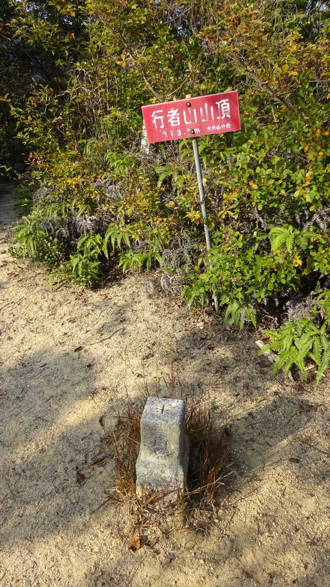 行者山頂上三角点