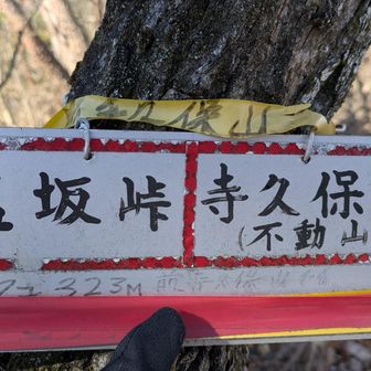 両崖山・仙人ヶ岳・石尊山 更に先に
　　⛰️前寺久保山
そうか
ここは足百狙いだったが----違ったかー

ンなら寺久保山行ってみよっ--
え？地図切れてる
時間読めない
でも、すぐだよね
言ってみよー

