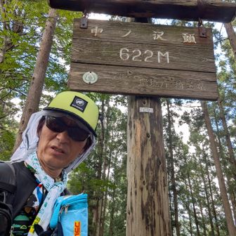 中ノ沢頭⛰️山頂🪧
ここはよく覚えてる場所。この先のグレーピーク（雨乞い山）を必死に探して酷い目に遭った記憶が蘇った😁。