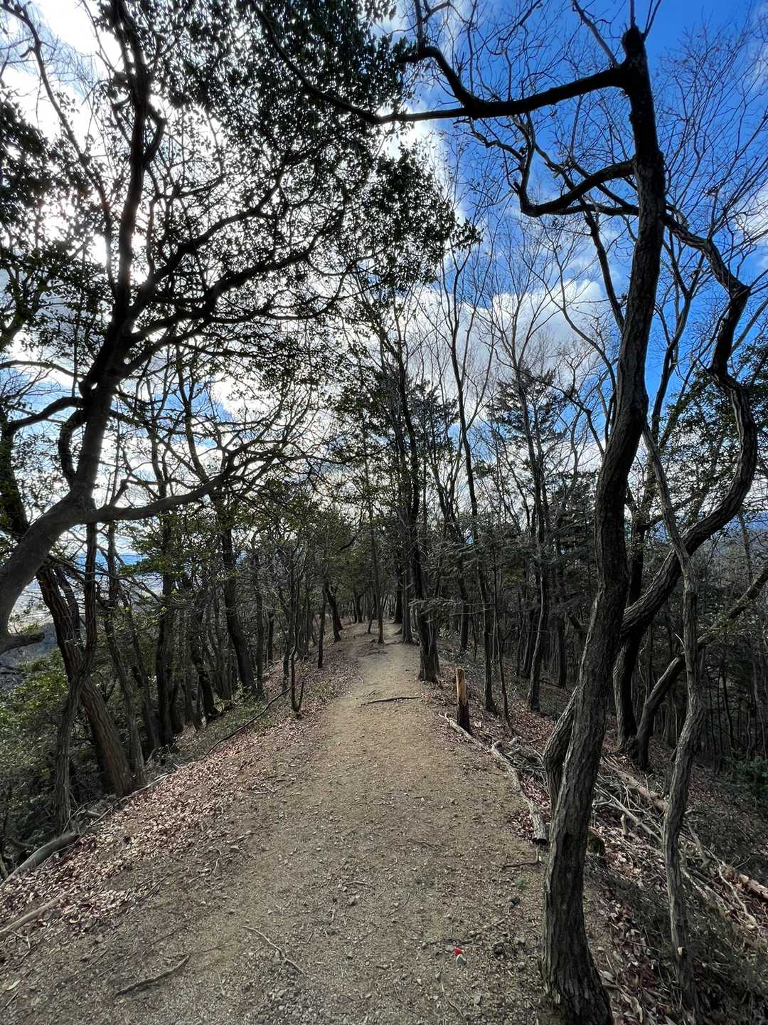 野村山に向けて出発👍