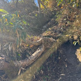 高さあり