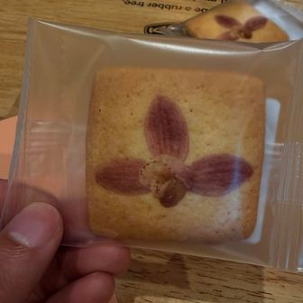 ショウキランがプリントされたクッキー🍪
