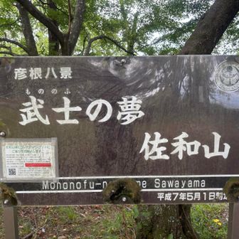 平和な時代ならこんな所にお城建てたいよね🏯