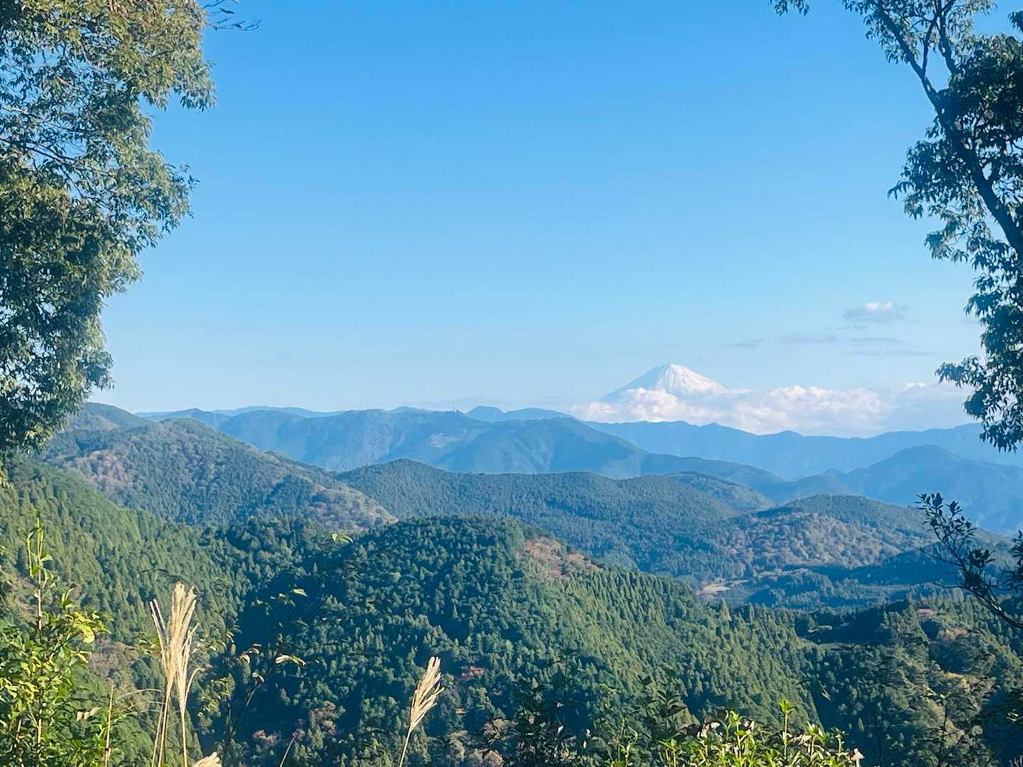 富士山も白化粧