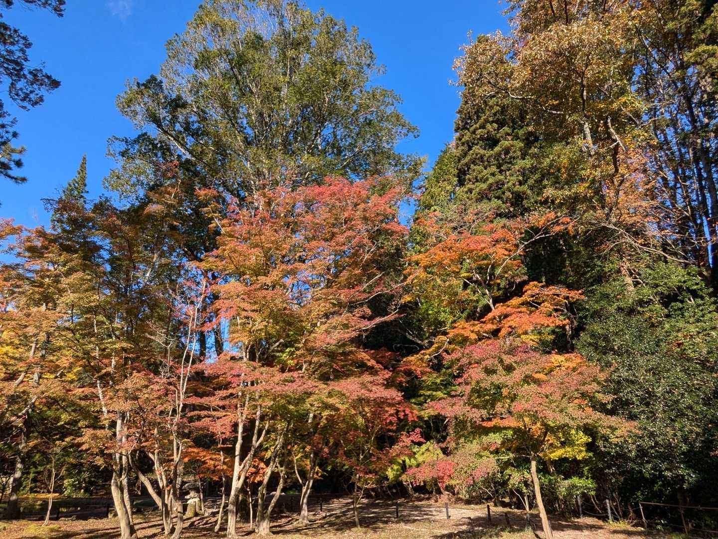 曽良山登山口-曽良山 周回コースの写真