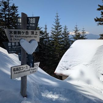 名残惜しくも七合目避難小屋
登りに山頂と、度々お相手していただいた中津川の方にまた会えた
あまりの健脚に、中津川の黒い弾丸とすでに命名　笑