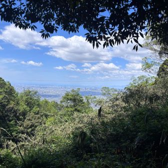 登山初心者🔰ワッキー
