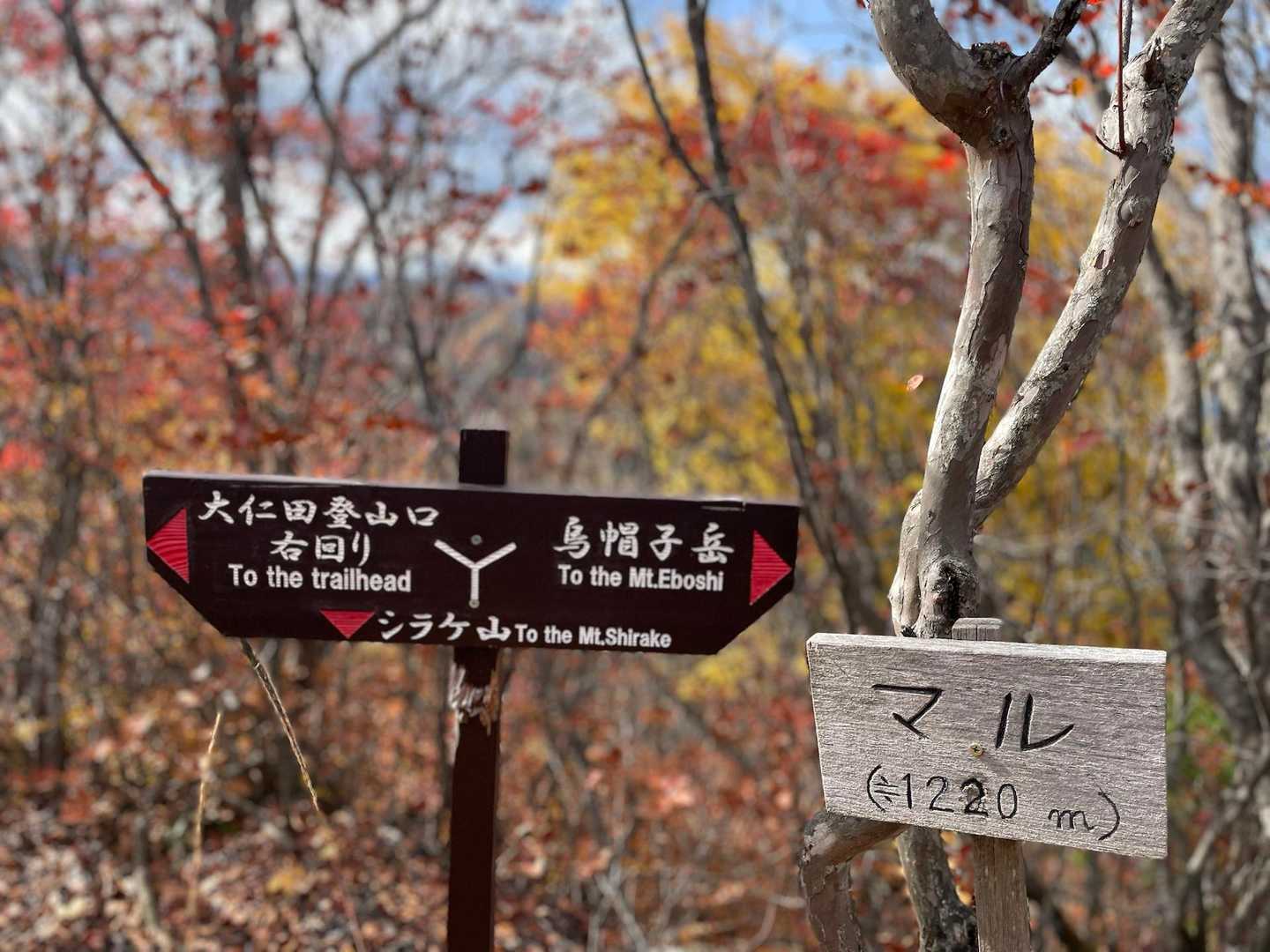 
マル到着