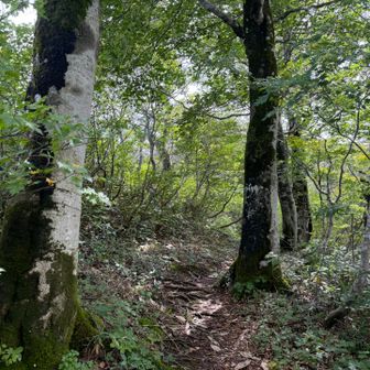そして最後のピーク