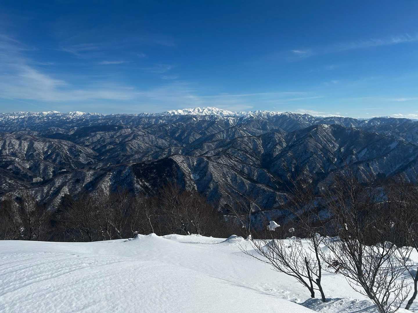 我谷登山口-小リス平-富士写ヶ岳 往復コースの写真