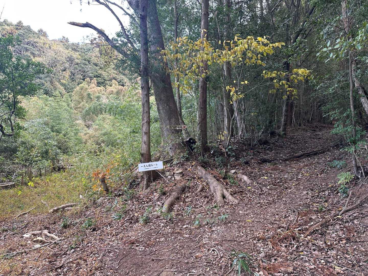 えん堤ルートと分れて山道に入ります