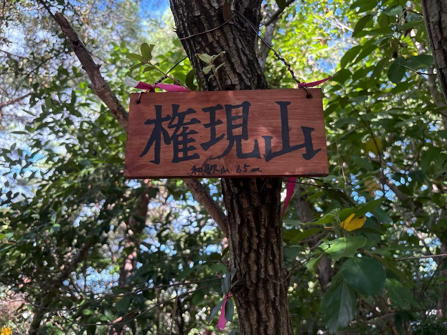 あっという間に権現山に到着〜

景観なし‼️