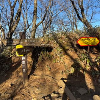 ココから入山規制があった大倉尾根