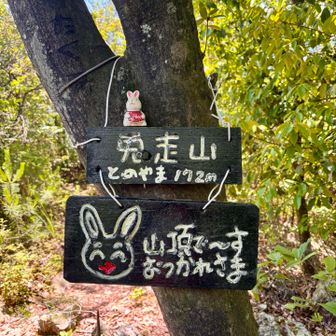 カワイイ🐇
疲れましたヨ
ありがとう😊