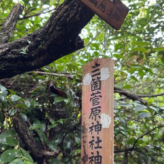 水平になったと思ったらピークでした