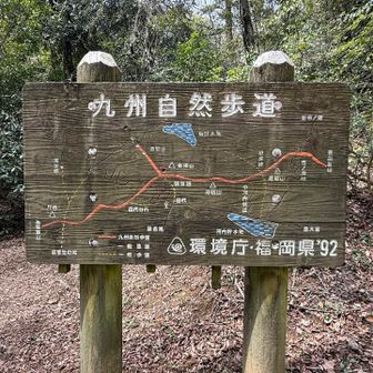 まだゴールは先でした