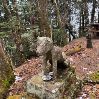 この狛犬は何の動物？