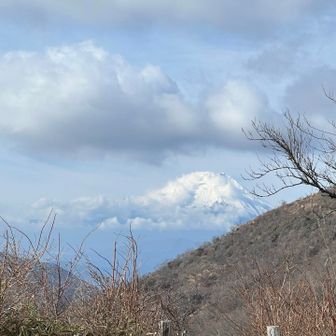 富士山🗻を見ると心が踊る