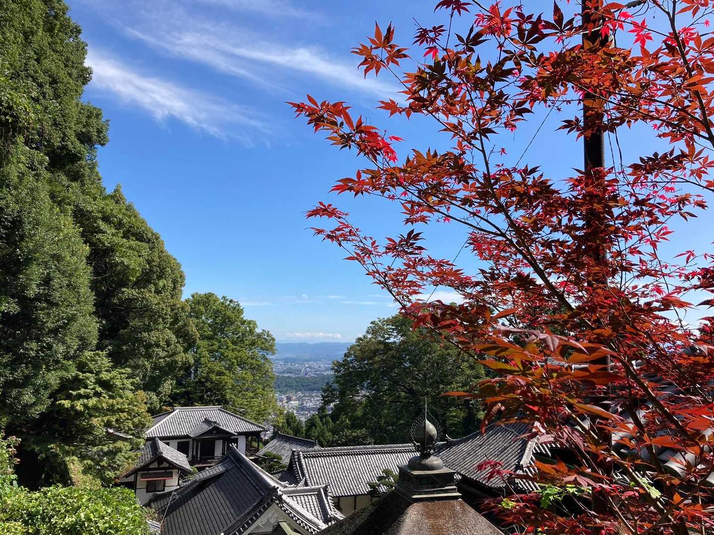 ここだけ赤く紅葉してました🍁
奥に大きな道路が見えるなー
阪奈道路かな？