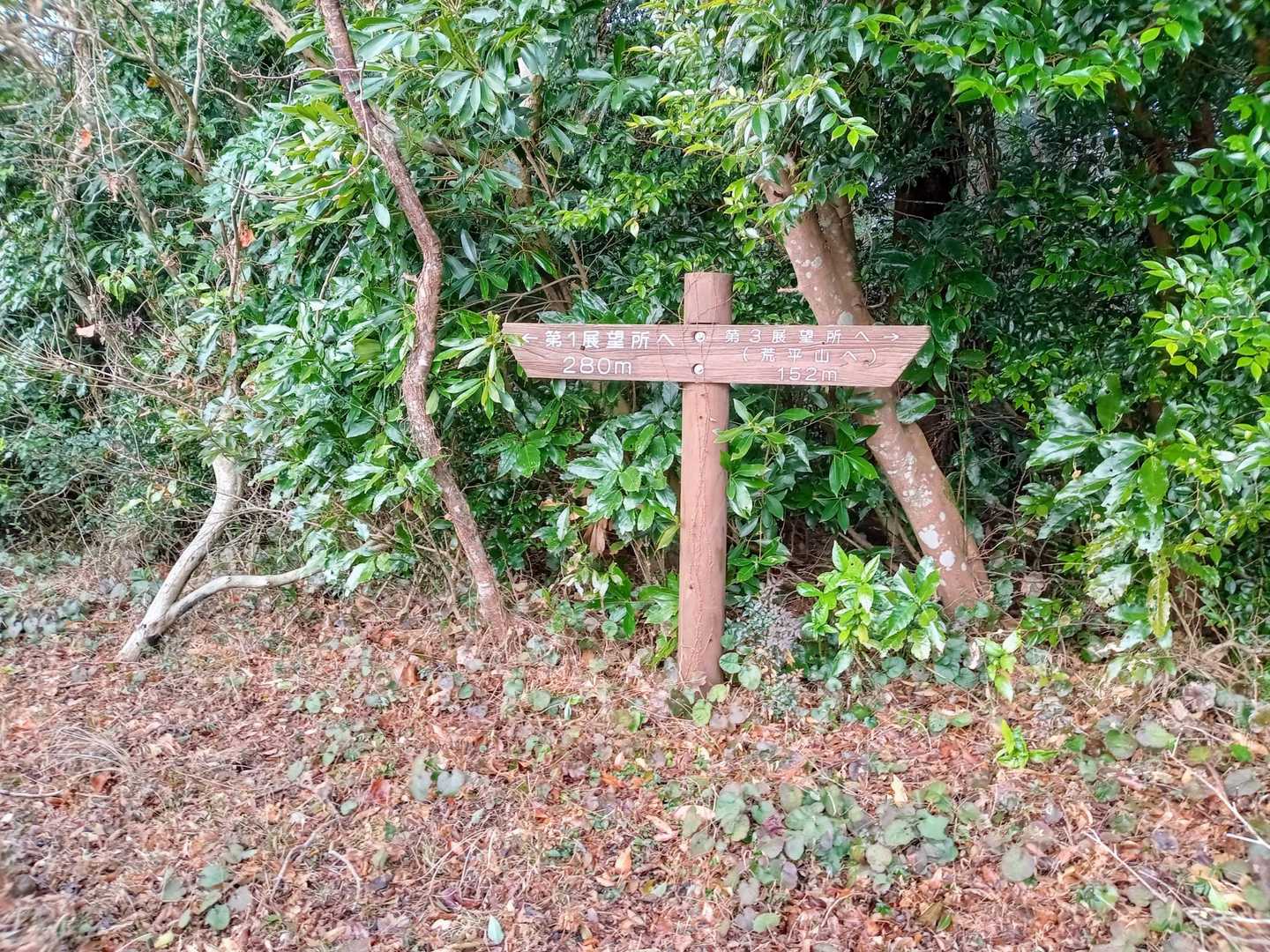 気にしなければ…
           大丈夫みたい😅