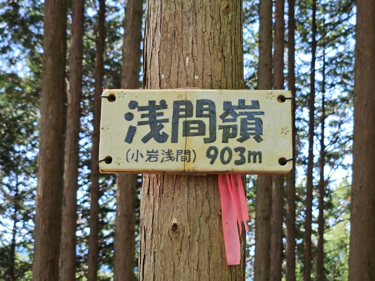 ここが山頂
