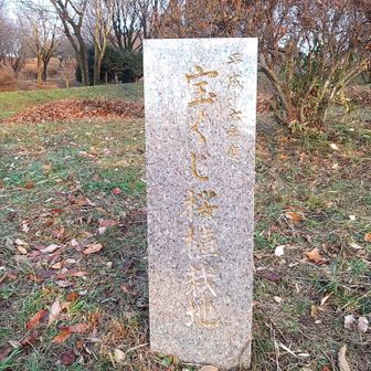 年末ジャンボの時期ですね🎯