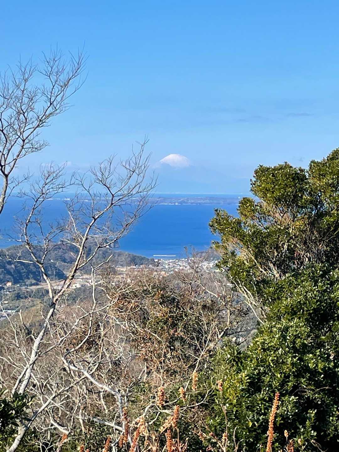 富士山🗻も