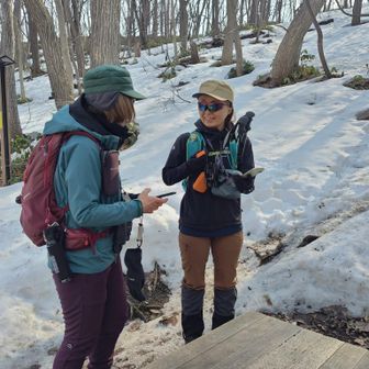 オオルリさん、ワタシたちのホームへようこそ✨️