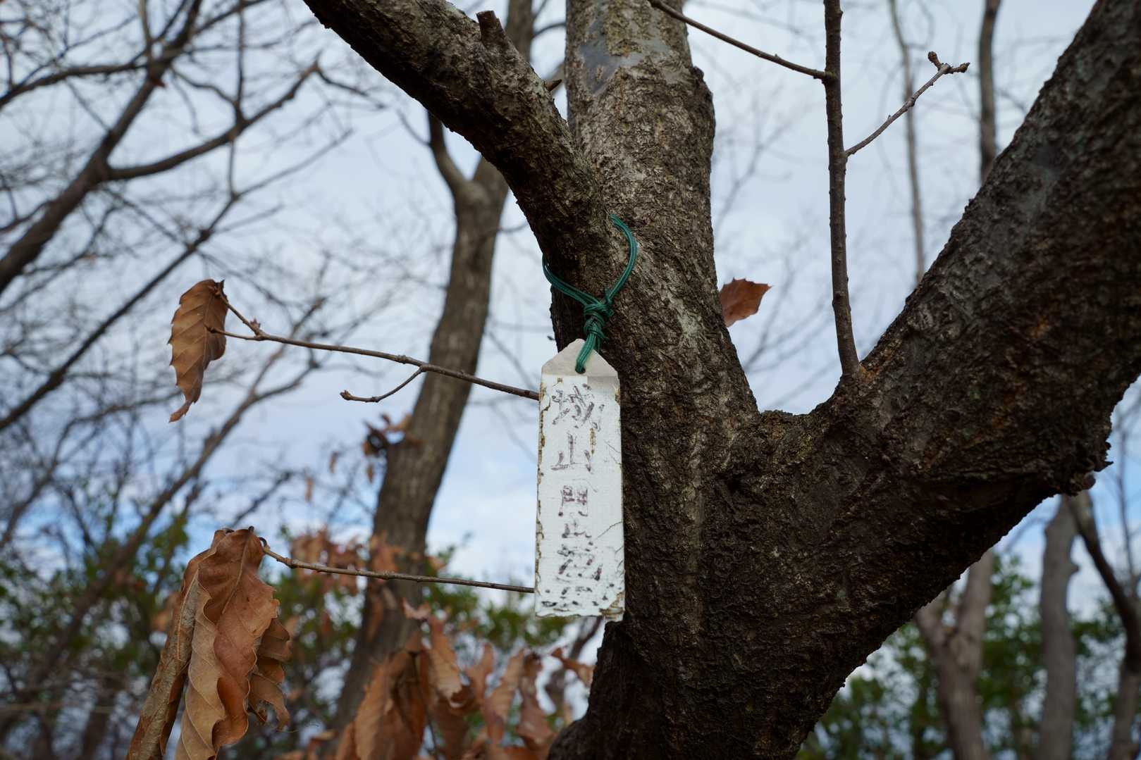 城山　山頂プレート