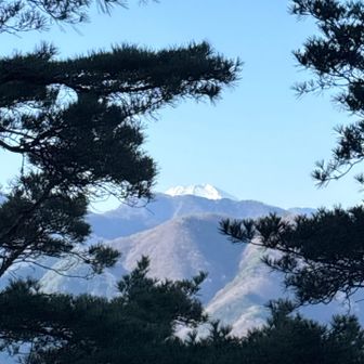 松の間から富士山🗻