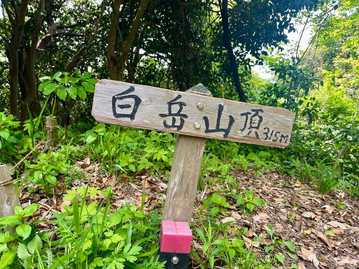 立花山登山道口・大権現登山道口-松尾山 往復コースの写真