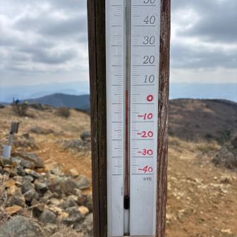 気温7度
風が少しあるけれど寒くない。