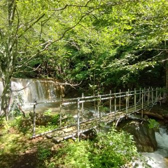 北温泉から登山道に入る